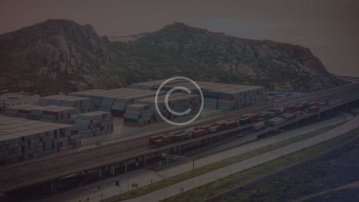 Domestic / International Services